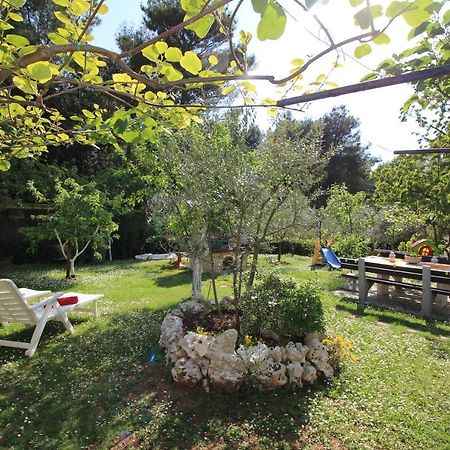 Modern Apartment Sabina With Nice Garden 포레치 외부 사진